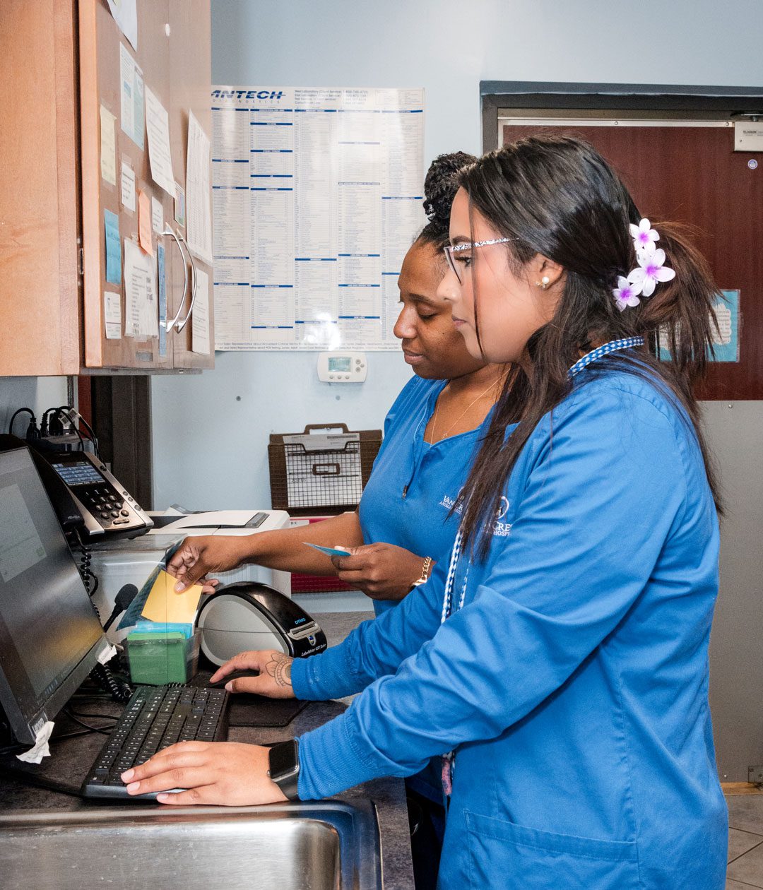 two female veterinary technicians looking at a computer screen