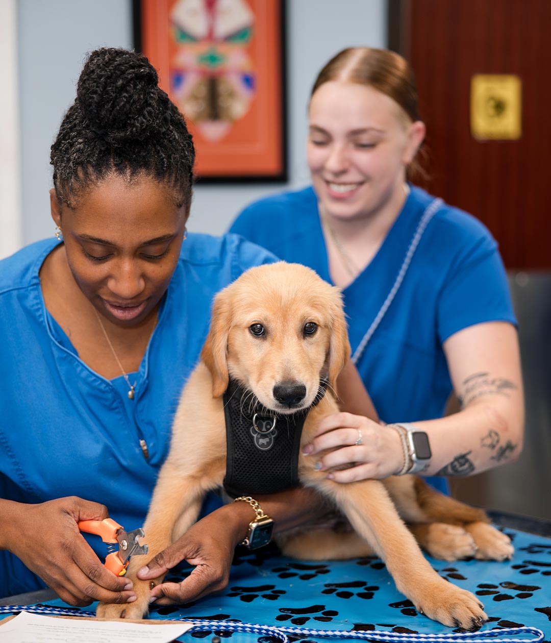 two female staff members smiling while working together to clip puppy's nails