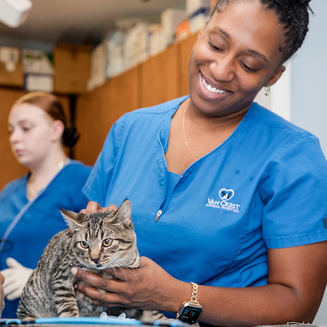 female staff member smiling while holding striped cat