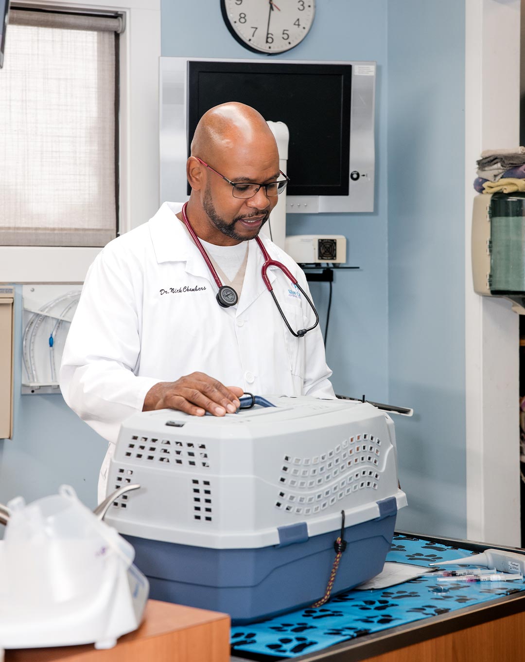 male veterinarian setting cat carrier down on exam table
