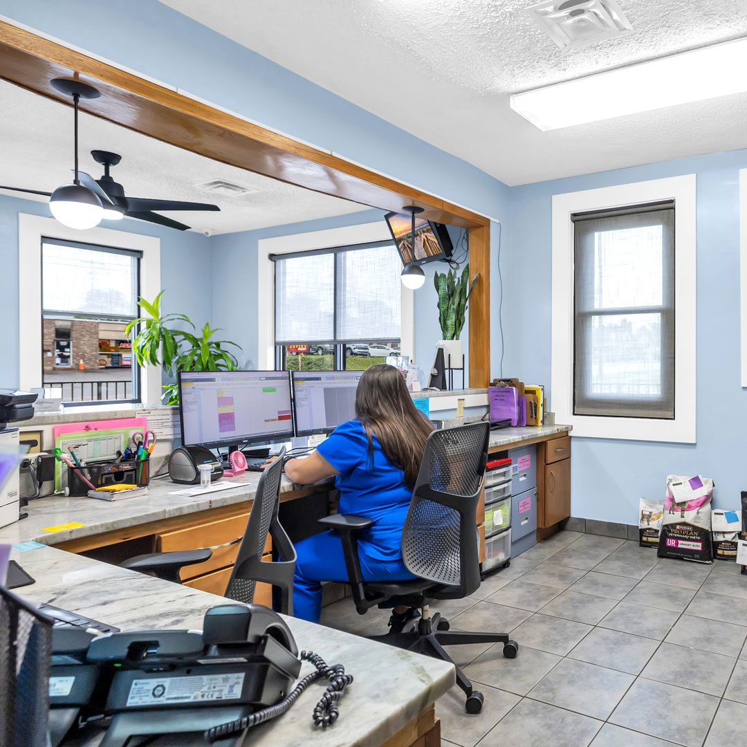 female receptionist sitting at front desk of animal hospital