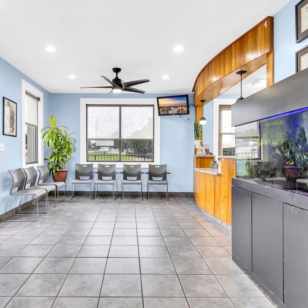 view of Van Crest Animal Hospital's patient waiting area
