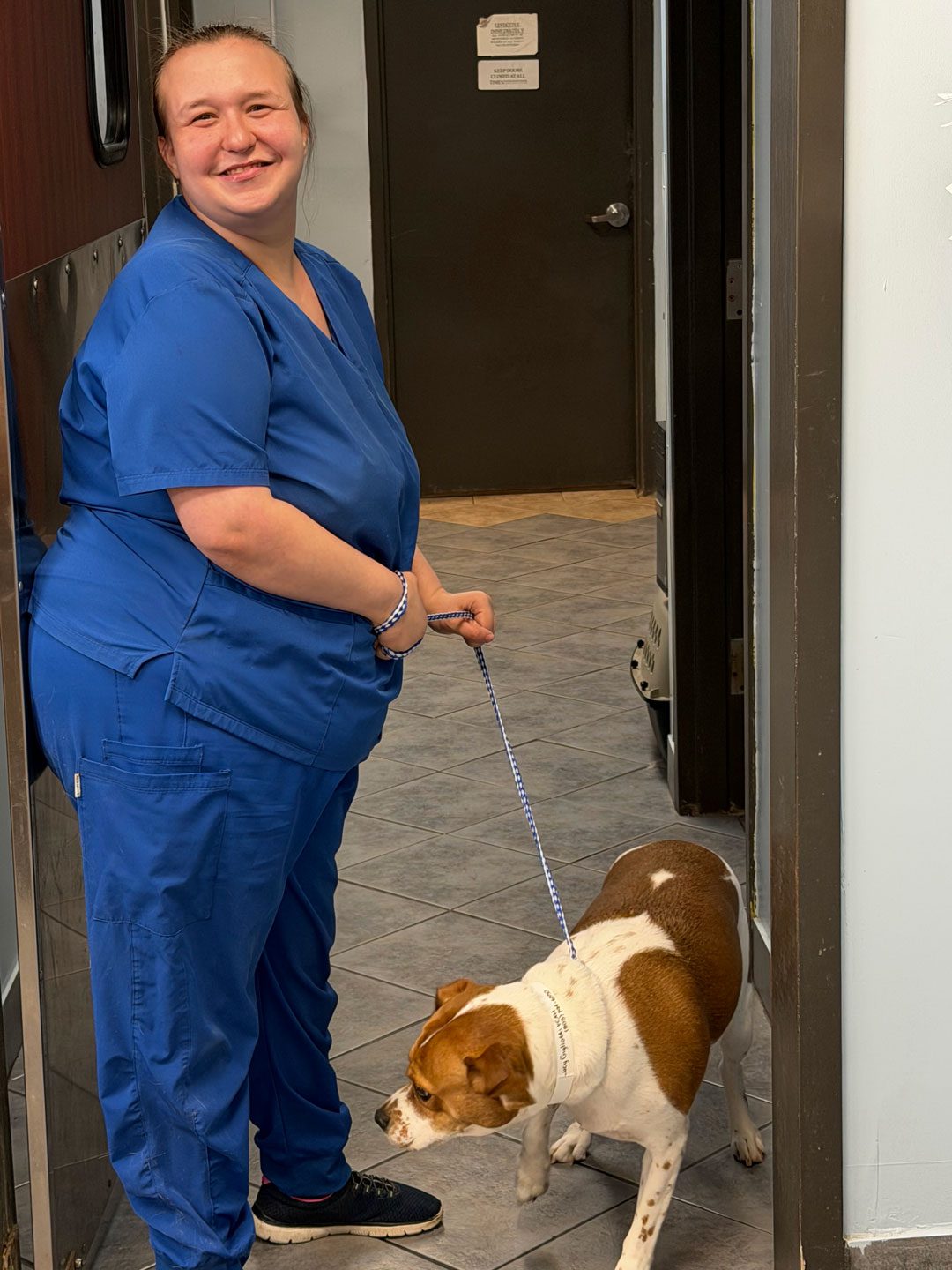 smiling female veterinary technician walking a dog on a leash