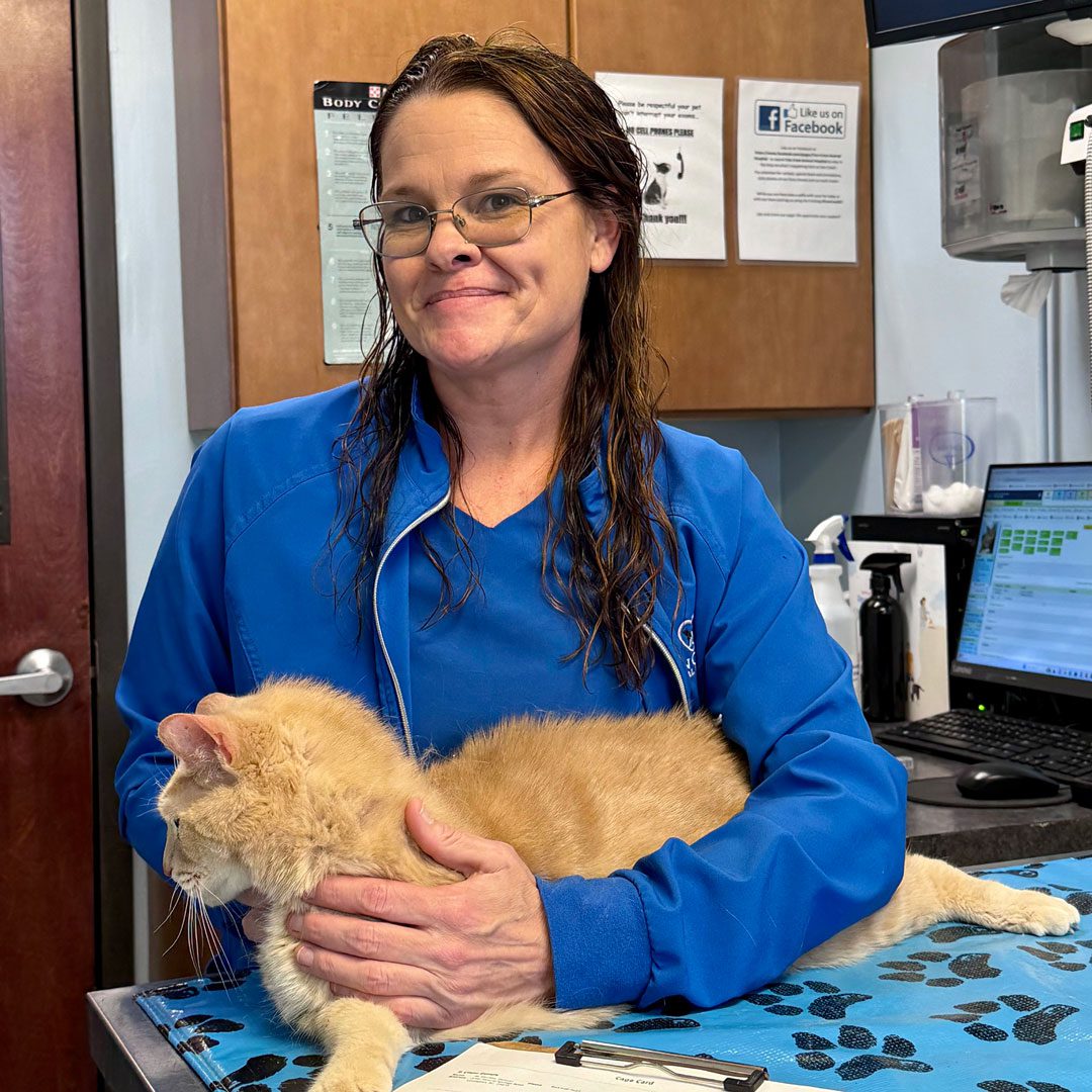 smiling female veterinary technician with orange cat