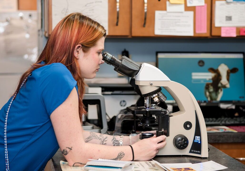 female veterinary technician looking through a microscope