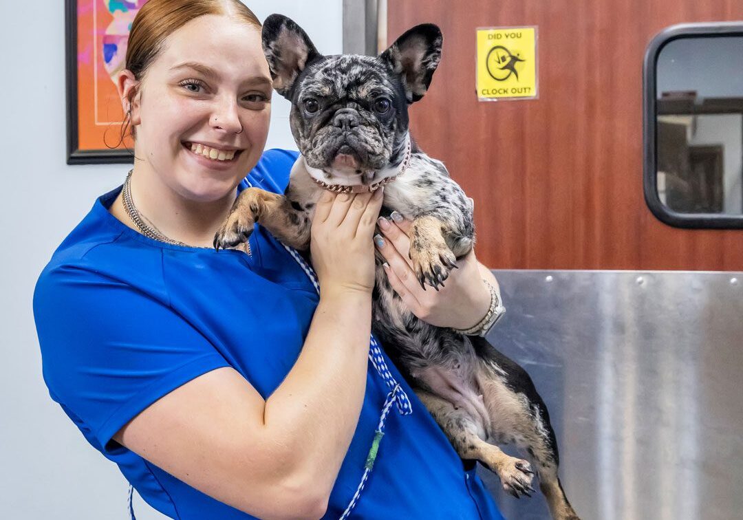 Smiling Woman Holding Dog